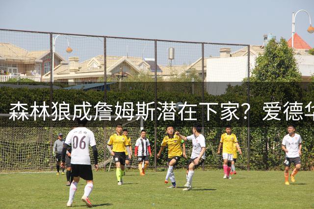 森林狼成詹姆斯潜在下家？爱德华兹联手鲍尔展开招募行动