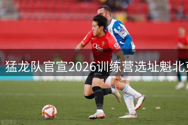 猛龙队官宣2026训练营选址魁北克，巴恩斯领衔备战新赛季